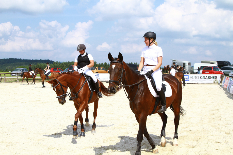 Reitertreffen 2013